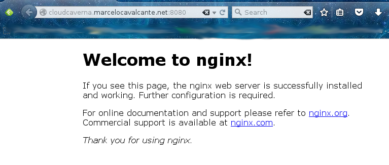 Nginx on Docker
