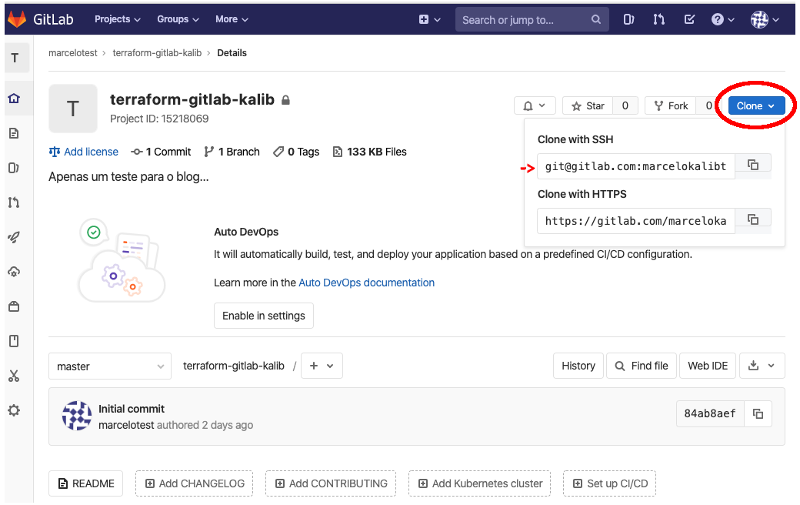 /posts/criando-uma-pipeline-para-terraform/gitlab_7.png